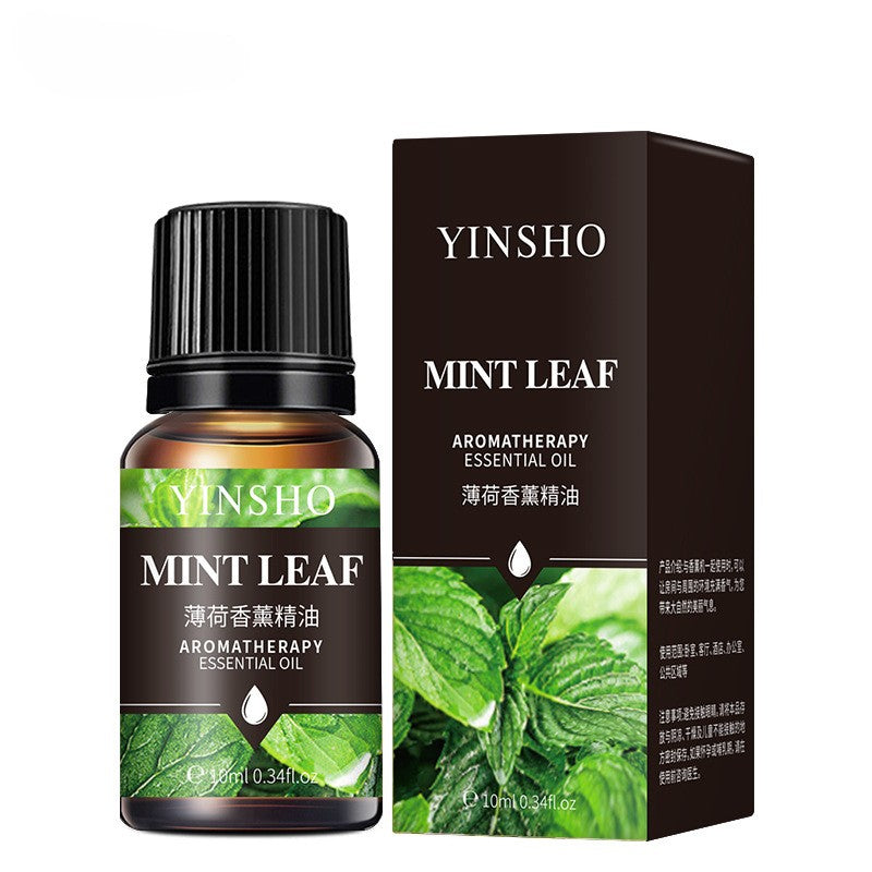 Water-Soluble Aromatherapy Oil (17 Scents Available) Essential Oil Fragrance 10mL