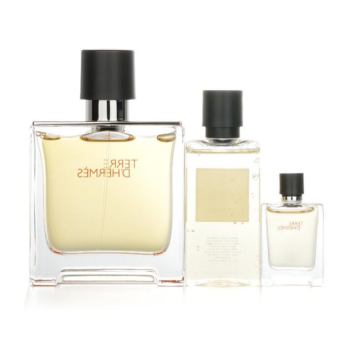 Hermès Terre d'Hermès Pure Gift Set 75mL + 5mL + 40mL Shower Gel additional supplier image 3