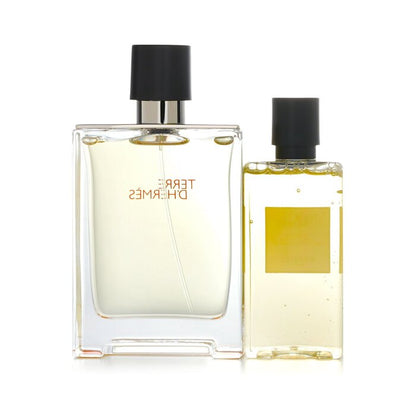 Hermès Terre d'Hermès Eau de Toilette Gift Set 100mL + 80mL Shower Gel additional supplier image 3