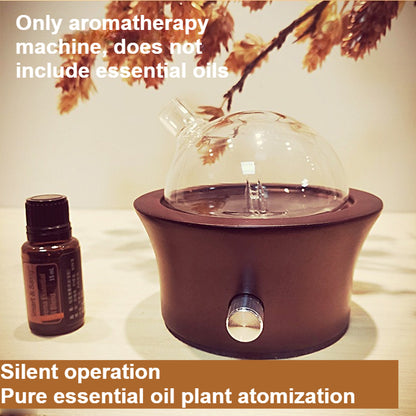 Wooden Glass Waterless Aromatherapy Essential Oil Diffuser