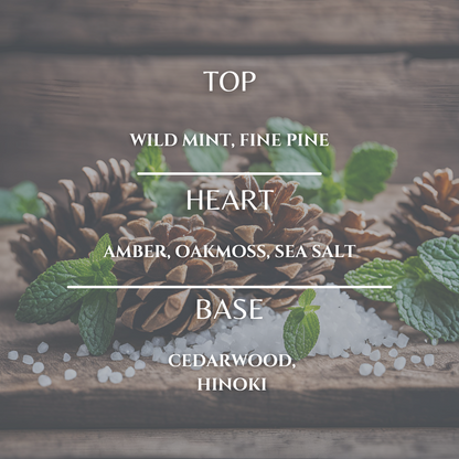 Maison Le Garçon Altitude No.2 Eau de Parfum 10mL supplier image 3