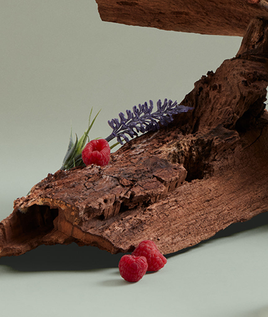 Penhaligon's The Dandy raspberry and woods fragrance mood