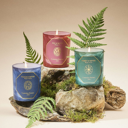 Carrière Frères Winter Forest Candle 185g