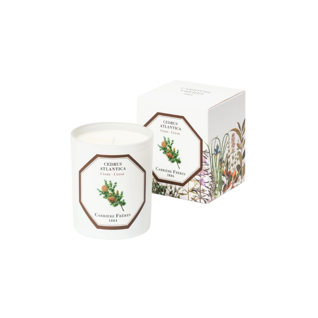 Carrière Frères Cedar Candle 180g