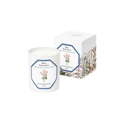 Carrière Frères Damask Rose Candle 185g