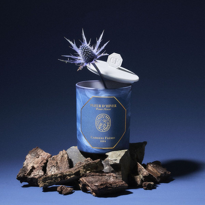 Carrière Frères Winter Flower Candle 185g