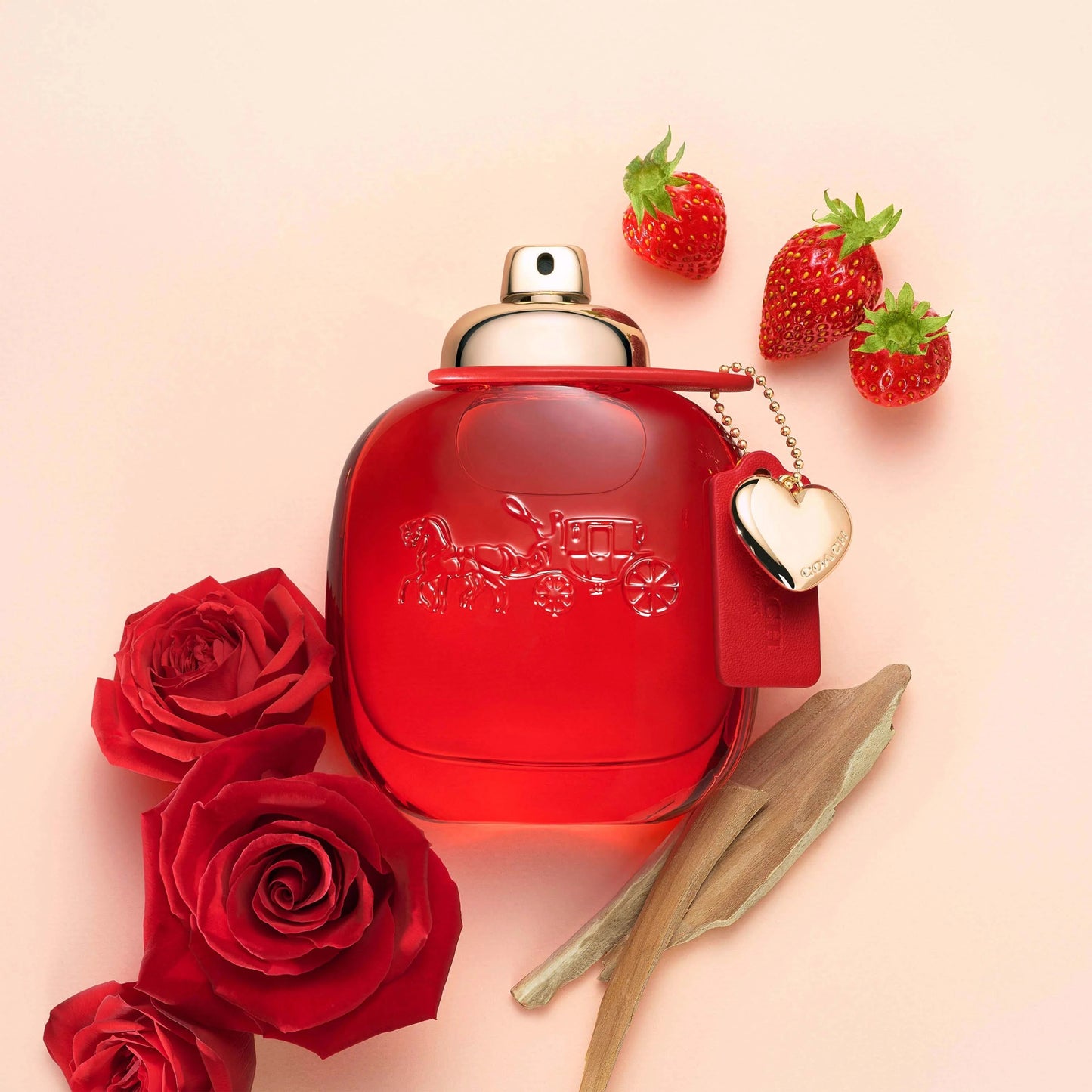 Coach Love Eau de Parfum styled image