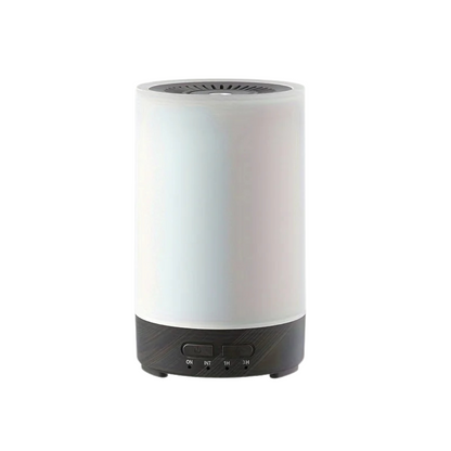 Compact Ultrasonic Cool Mist Humidifier 100mL