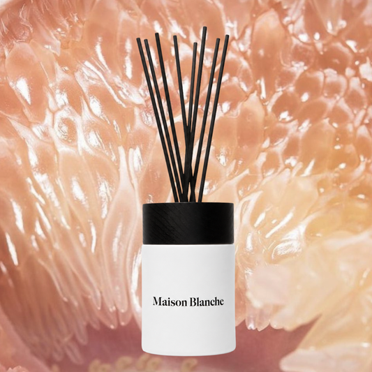 Maison Blanche 009 Grapefruit & Rosemary Reed Diffuser 125mL – official Maison Blanche product image 3