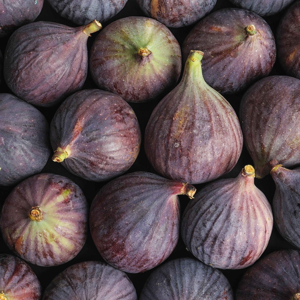 Floris Mulberry Fig lifestyle image - fig