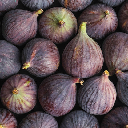 Floris Mulberry Fig lifestyle image - fig