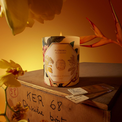 Carrière Frères Frangipani Candle 185g