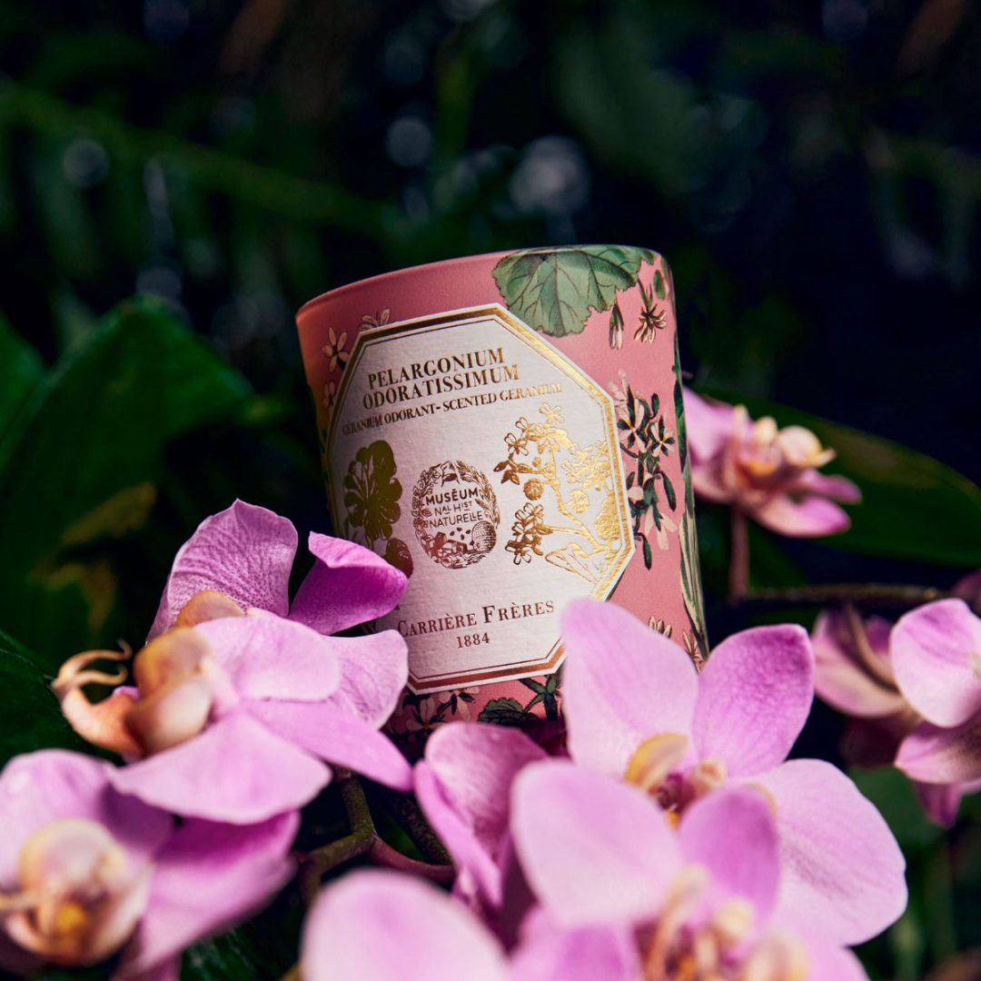 Carrière Frères Geranium Candle 185g