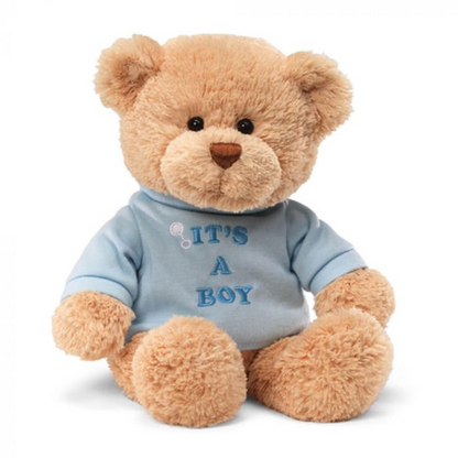 Gund It’s A Boy Teddy Bear (30cm)