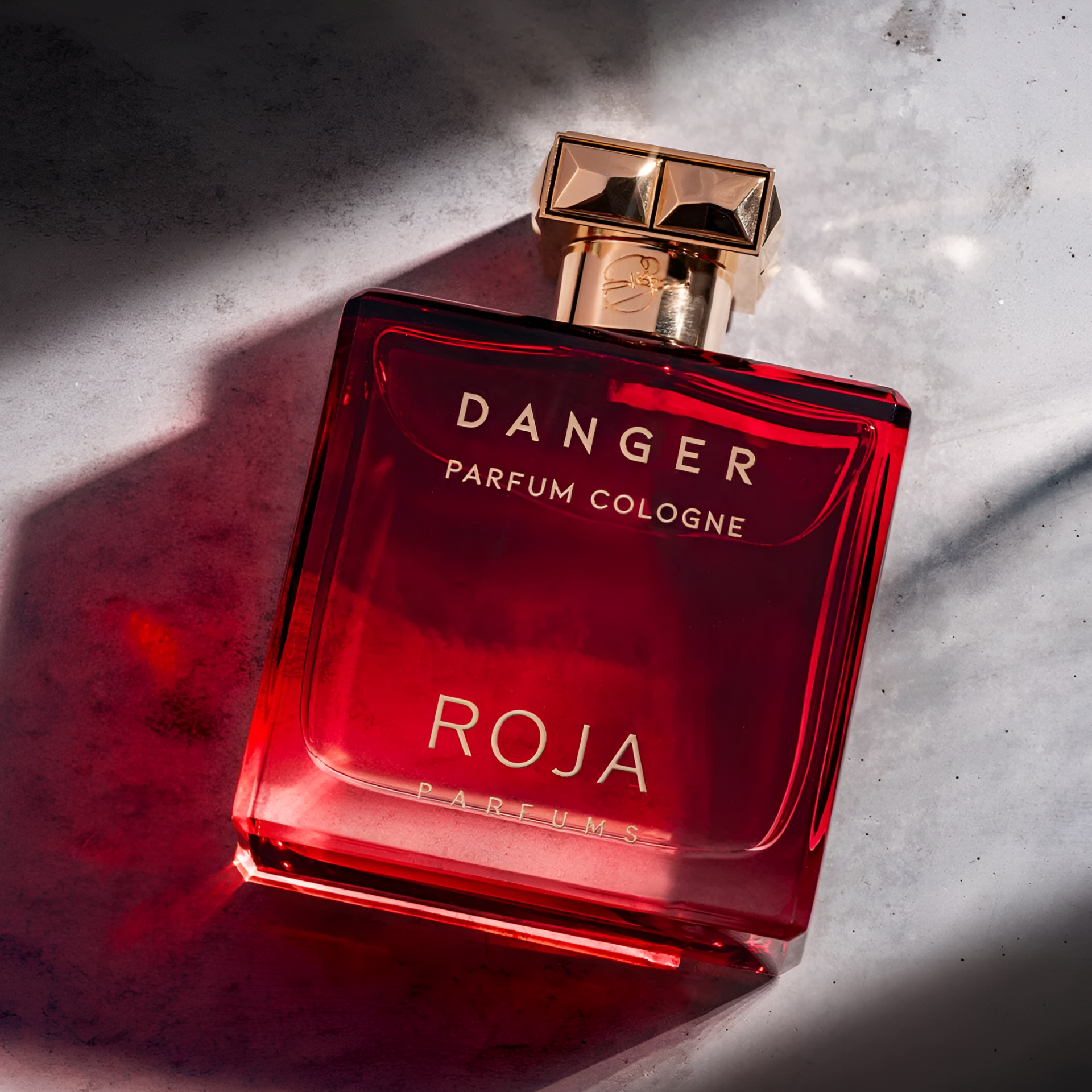 Roja Parfums Danger Pour Homme Parfum 100mL - The Perfume Company