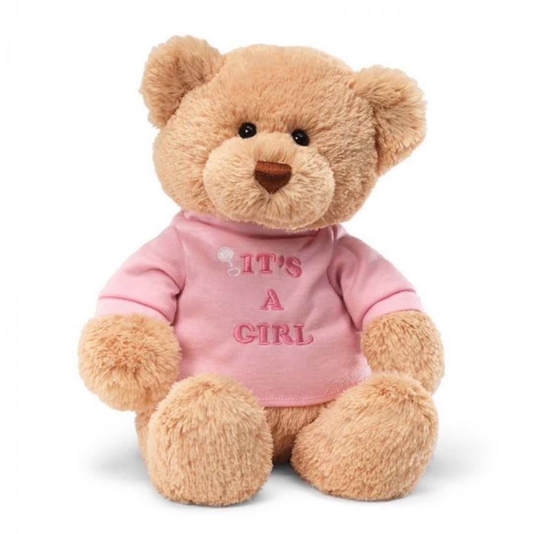 Gund It’s A Girl Teddy Bear (30cm)