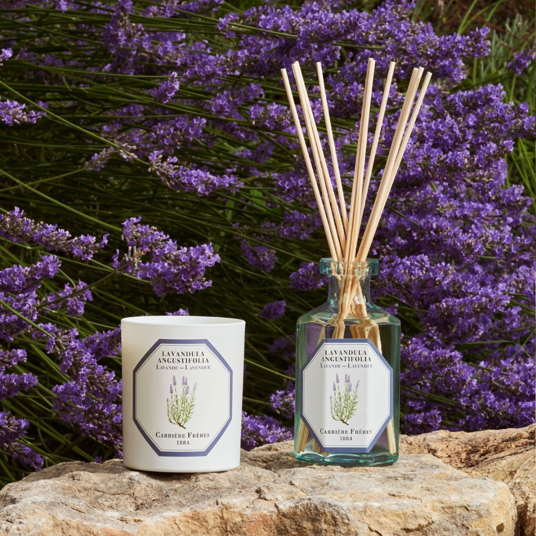 Carrière Frères Lavender Candle 185g