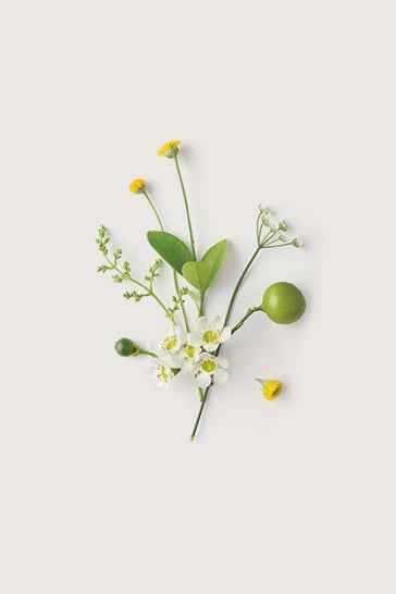 Myrtle & Moss Wildflower Hand Cream & Soap Duet