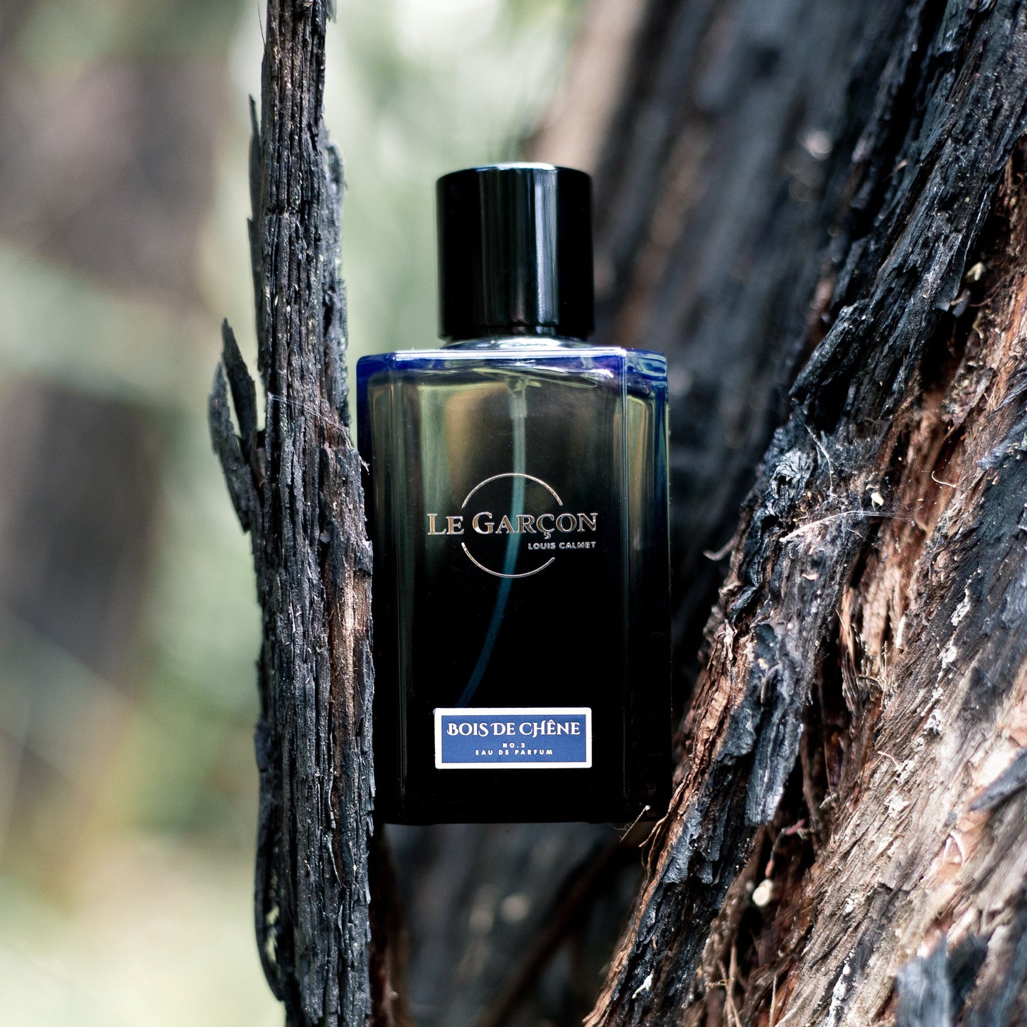 Maison Le Garçon Bois De Chêne No.3 Eau de Parfum 100mL supplier image 2