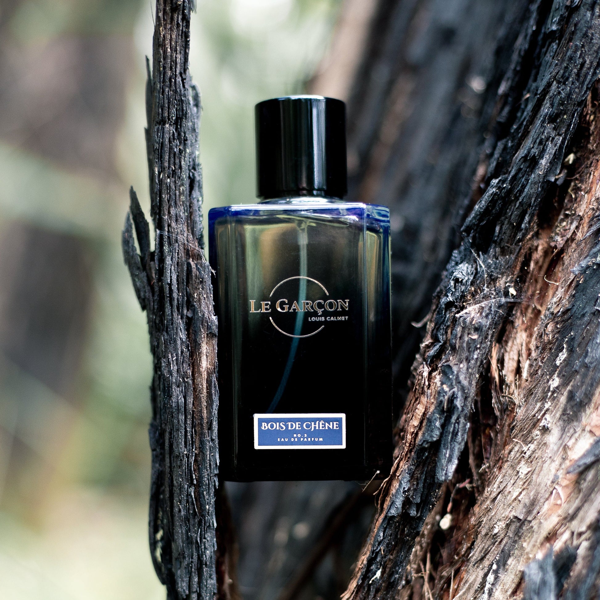 Maison Le Garçon Bois De Chêne No.3 Eau de Parfum 100mL supplier image 2