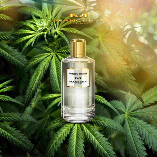 Mancera Hindu Kush Eau de Parfum 120mL - The Gift Company