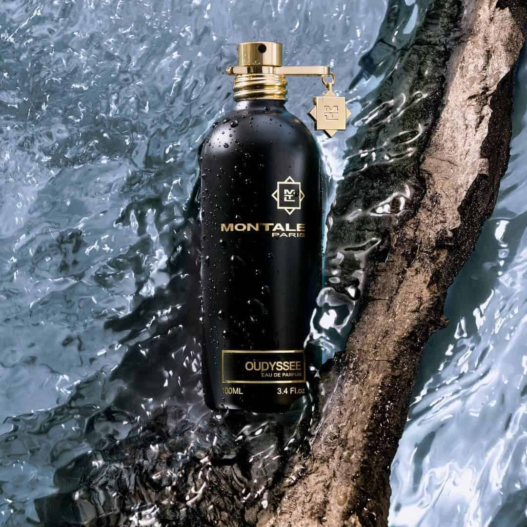 Montale Oud Dream Eau de Parfum 100mL - The Gift Company