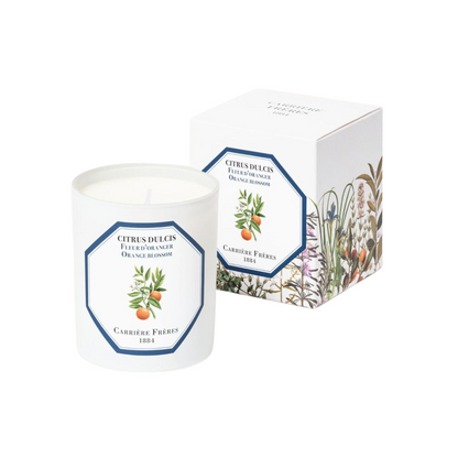 Carrière Frères Orange Blossom Candle 185g