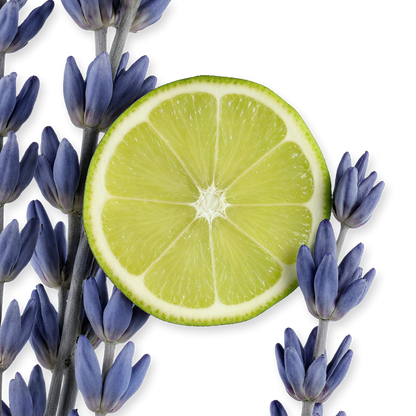Parfums de Marly Percival Eau de Parfum 125mL fragrance detail
