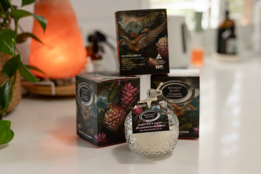 Beloved Scents Burnt Fig & Cassis Keepsake Candle 300g – 45hr Burn supplier image 2