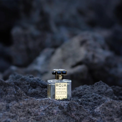 Roja Parfums Elysium Pour Homme Parfum 100mL