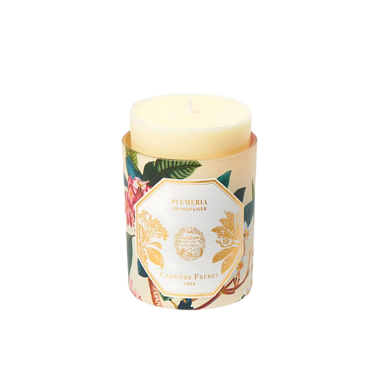 Carrière Frères Refill for Frangipani Candle 185g