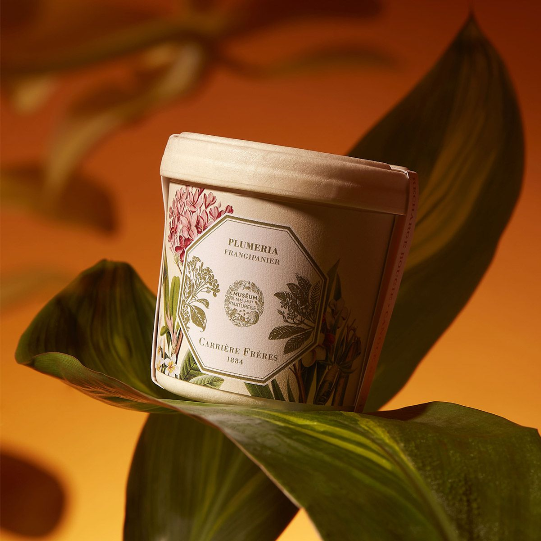 Carrière Frères Refill for Frangipani Candle 185g