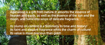 Waterfall Backflow Incense Cones