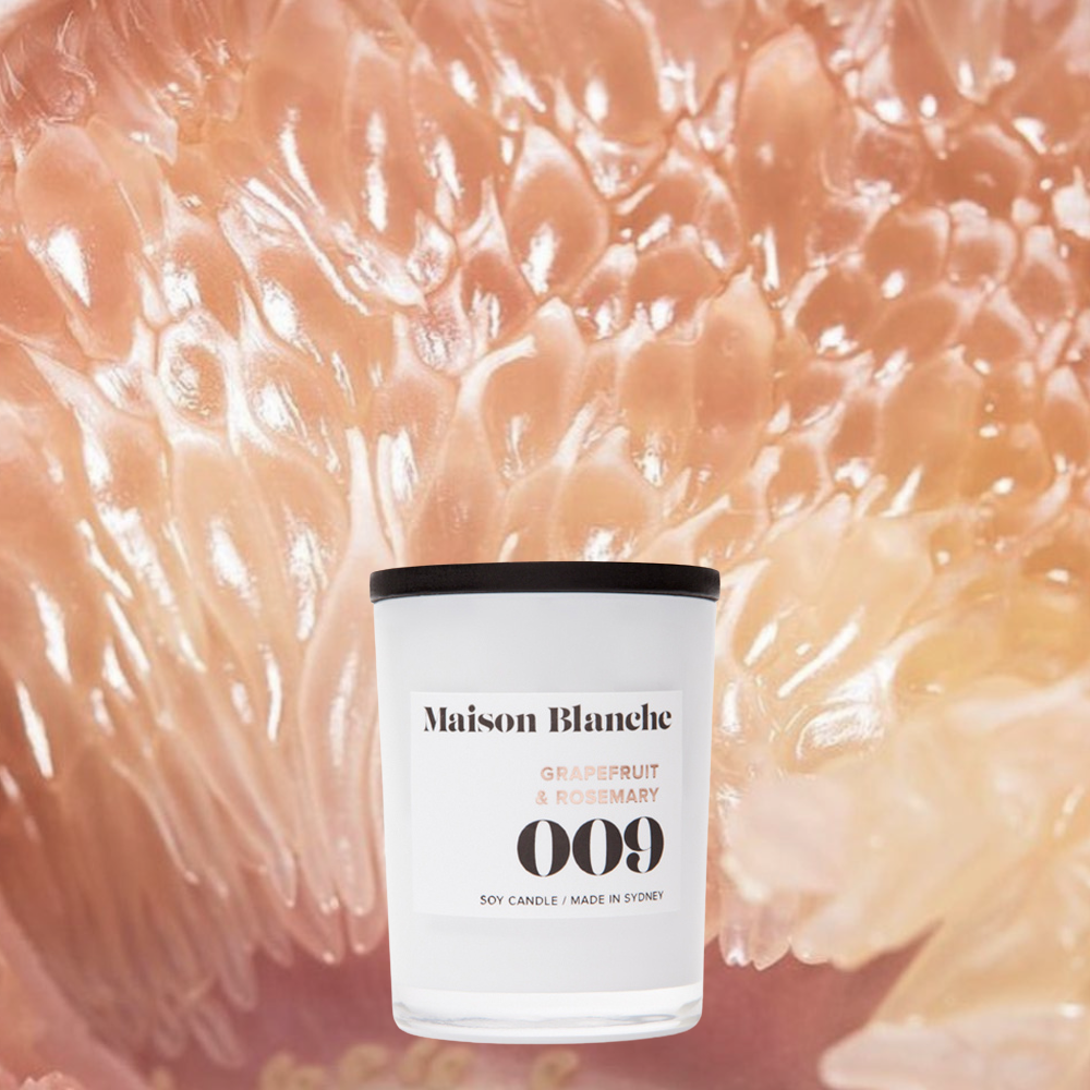Maison Blanche 009 Grapefruit & Rosemary Petite Candle 60g – official Maison Blanche product image 3
