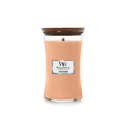 WoodWick 香草豆中号蜡烛 275g