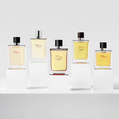 Hermès Terre d’Hermès Eau de Toilette 100mL