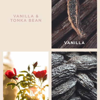 ECOYA Vanilla & Tonka Bean Candle 400g