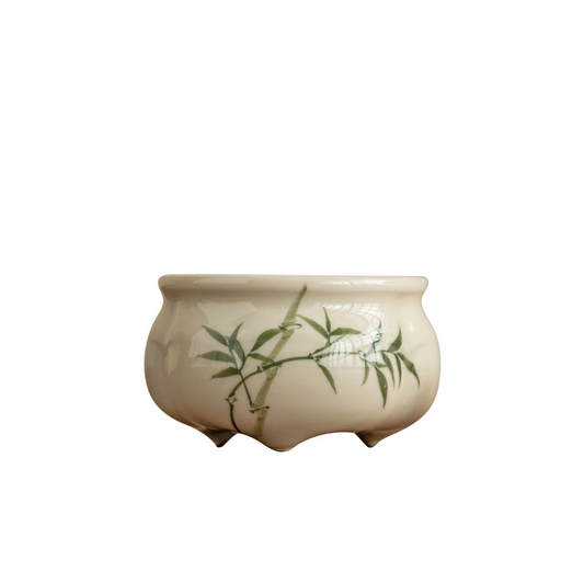 Emerald Green Asparagus Fern Incense Burner