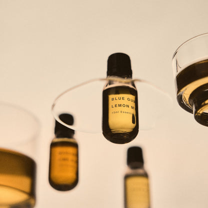 Addition Studio Blue Gum and Lemon Myrtle 15mL essential oil bottle styled with golden glass reflections