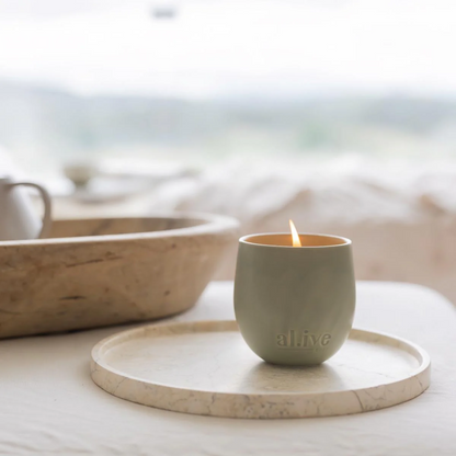 Candle - Al.ive - al.ive body Blackcurrant & Caribbean Wood Soy Candle 295g - The Gift Company