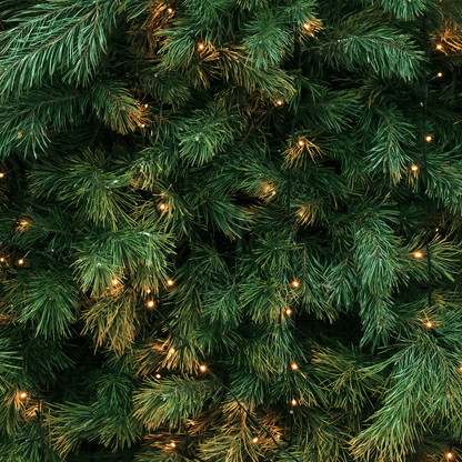 Candle - Buckley & Phillips Aromatics - Buckley & Phillips Aromatics - Christmas Tree Pillar Candle - The Gift Company