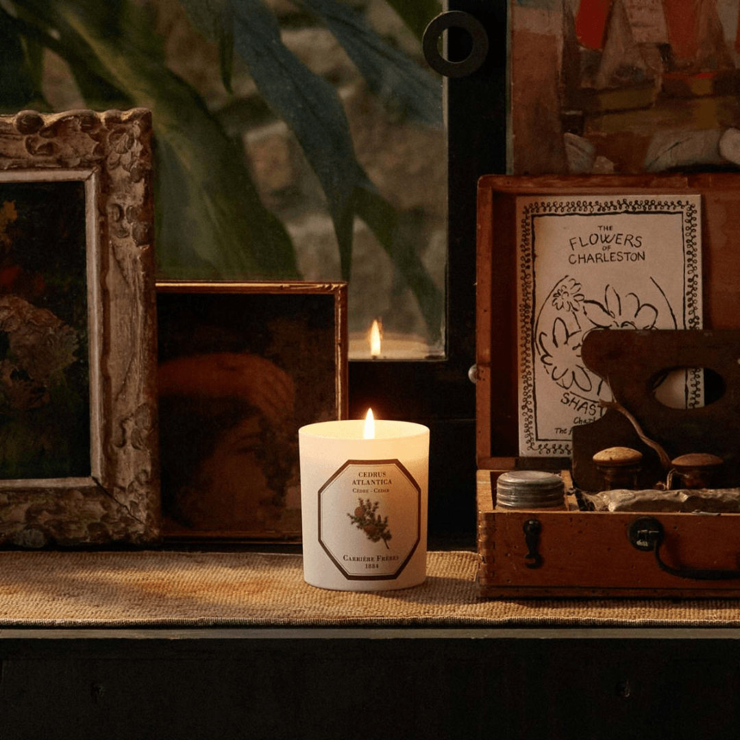 Candle - Carriere Freres - Carrière Frères Cedar Candle 180g - The Gift Company