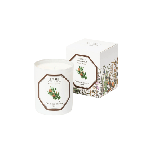 Candle - Carriere Freres - Carrière Frères Cedar Candle 180g - The Gift Company