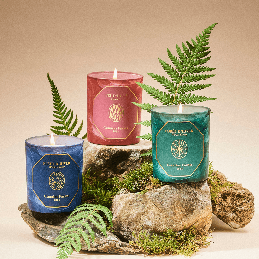 Candle - Carriere Freres - Carrière Frères Christmas Bundle - Candle 185g x 3 (worth $300) - The Gift Company
