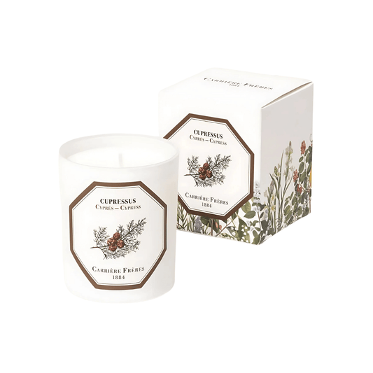 Candle - Carriere Freres - Carrière Frères Cypress Candle 185g - The Gift Company