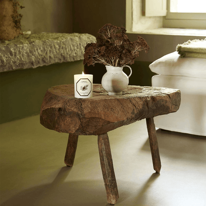 Candle - Carriere Freres - Carrière Frères Cypress Candle 185g - The Gift Company