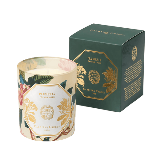 Candle - Carriere Freres - Carrière Frères Frangipani Candle 185g - The Gift Company