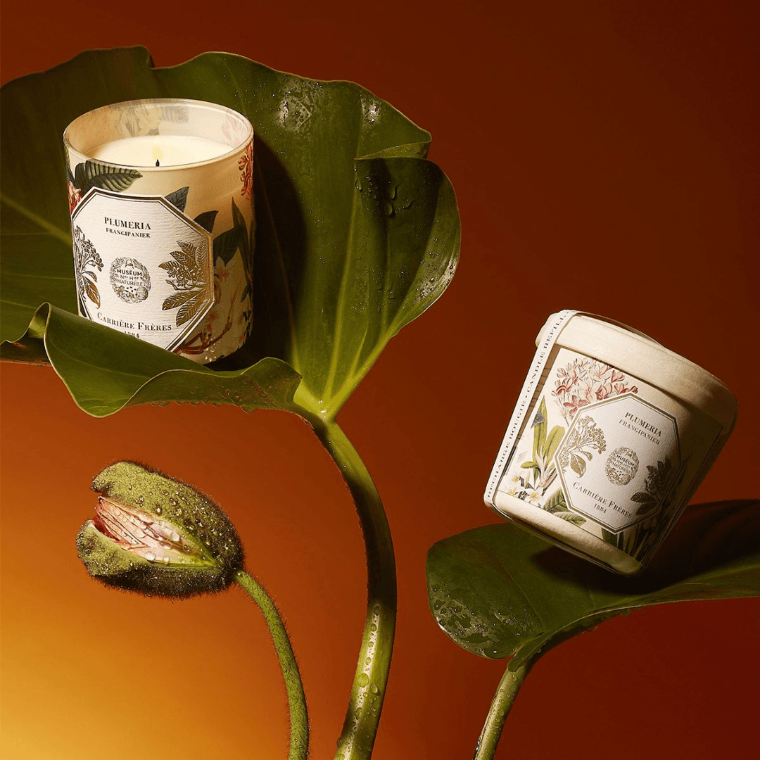 Candle - Carriere Freres - Carrière Frères Frangipani Candle 185g - The Gift Company