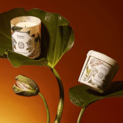 Candle - Carriere Freres - Carrière Frères Frangipani Candle 185g - The Gift Company