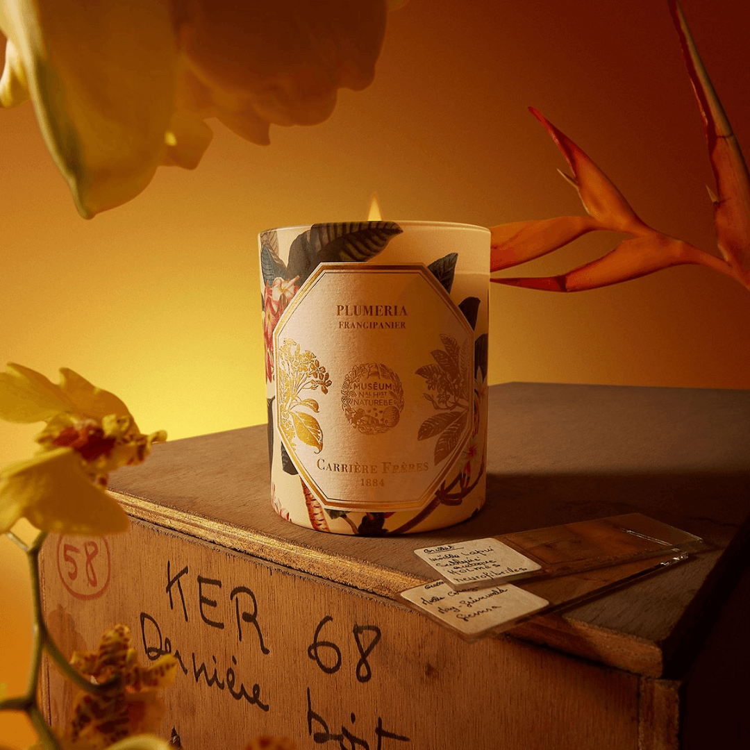 Candle - Carriere Freres - Carrière Frères Frangipani Candle 185g - The Gift Company